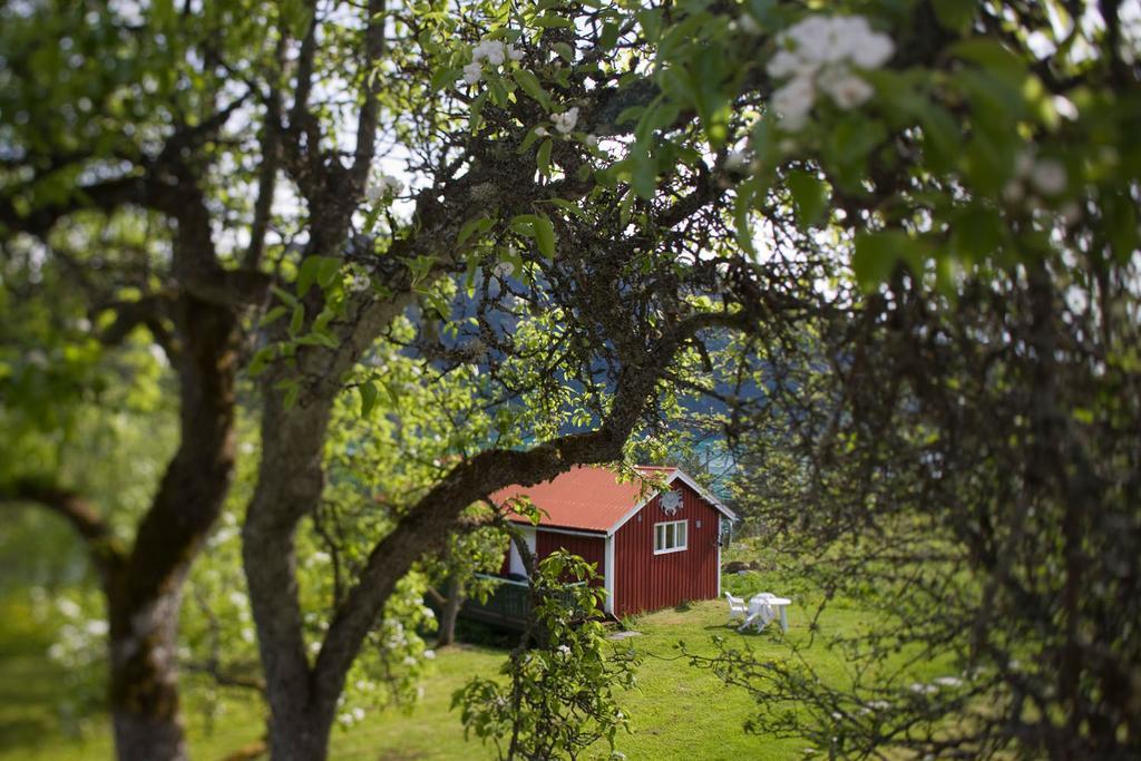Dragsvik Fjordhotel (Adults Only) بليستران المظهر الخارجي الصورة